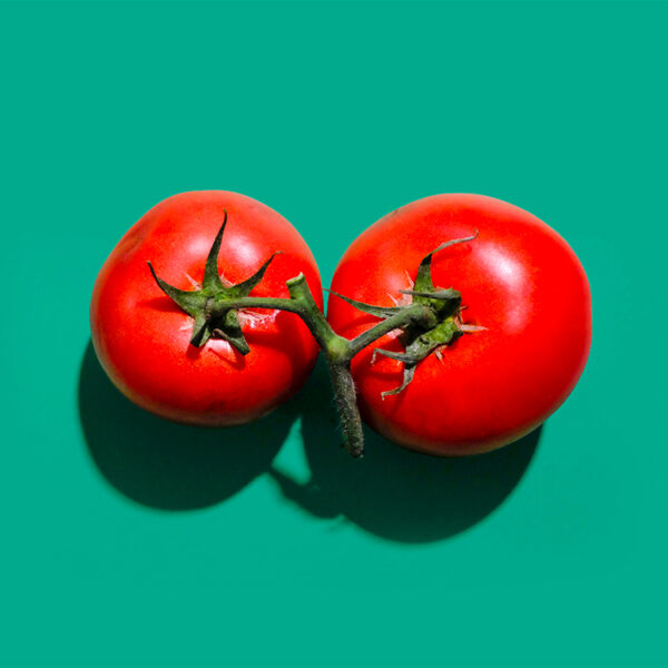 Tomates au kilo